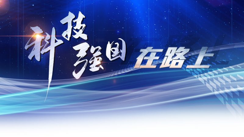 智慧解决方案：揭秘企业IT决策者的选型逻辑