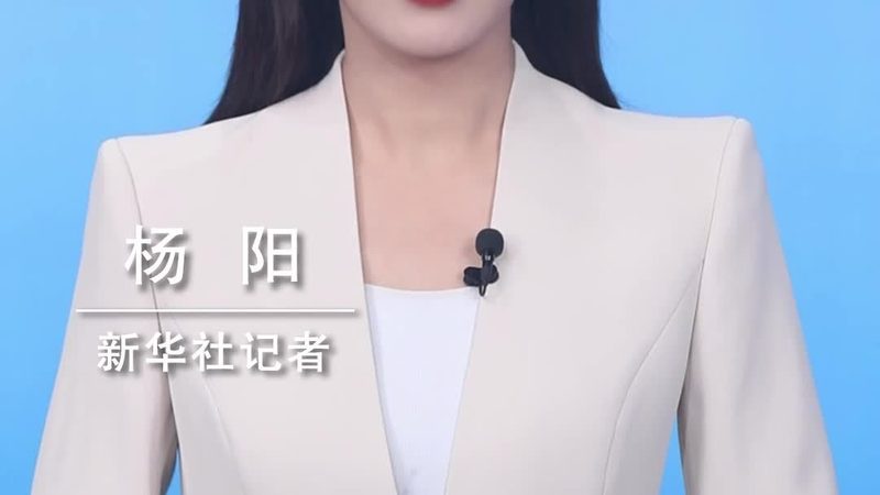SaaS平台解决方案：构建高效企业服务的秘密武器